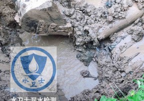 新沂水管漏水检测公司5